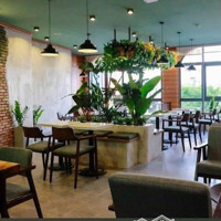 Bán Nhà Mặt Tiền Khu Phan Xích Long - Miếu Nổi, Dt: 8,2 X 16M, 3 Lầu St, Giá: 38 Tỷ
