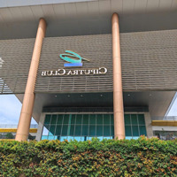 Bán Biệt Thự Song Lập Ciputra, 240M2,Mặt Tiền12M, 60Tỷ