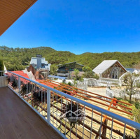 Villa View Thung Lũng Rừng Thông Hoàng Hoa Thám 300M2 3 Tầng