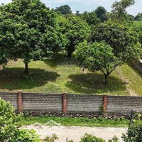 Cơ Hội Đầu Tư Cực Tốt Sở Hữu Ngay 2712M² Đất Đẹp Sát Sân Golf Skylake, Lương Sơn, Giá Siêu Tốt