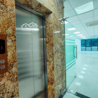 Cho Thuê Nhà Hồ Tùng Mậu, Btl 60M, 6 Tầng Thông Sàn Thang Máy Phù Hợp Nhiều Mô Hình Kinh Doanh 40 Triệu