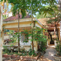 Chính Chủ Bán Biệt Thự Nhà Vườn Tại Ninh Sở, Thường Tín,Diện Tích356.2M2,Mặt Tiền18.78M, Xe 4 Chỗ Tránh Nhau