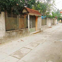 Chính Chủ Bán Biệt Thự Nhà Vườn Tại Ninh Sở, Thường Tín,Diện Tích356.2M2,Mặt Tiền18.78M, Xe 4 Chỗ Tránh Nhau