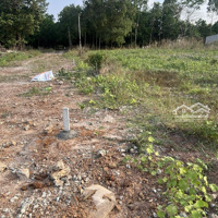 Cần Bán Lô Đất 520M2 (12X44M). Liền Kề Sân Bay Long Thành. Ngay Chợ Bình Sơn. Sổ Hồng Riêng