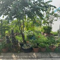 Bán Đất Tại Khu Tđc An Sơn, 2,5 Tỷ, 100M2, Pháp Lý Đầy Đủ, Chỉ Với Cơ Hội Đầu Tư Hot!