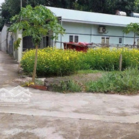 Chỉ Hơn 1 Tỷ Có Ngay Lô Đất Tân Bình - Vĩnh Cửu. Khu Dân Cư An Ninh, Yên Tĩnh, Đầy Đủ Tiện Ích