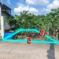 Chỉ Hơn 1 Tỷ Có Ngay Lô Đất Tân Bình - Vĩnh Cửu. Khu Dân Cư An Ninh, Yên Tĩnh, Đầy Đủ Tiện Ích