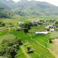 Bán 7300M Thổ Cư 1700M Wieu Ruộng Bậc Thang Tại Hợp Phong Cao Phong Hoà Bình Giá 4.Xty