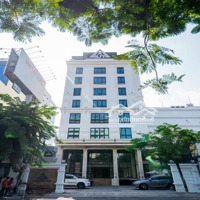 Giảm Mạnh Từ 45 Tỷ Chỉ Còn 37 Tỷ Tòa Nhàmặt Tiềnngay Lý Thường Kiệt, Tân Bình 269M2