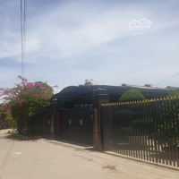 Chính Chủ Cần Bán 10.000M2 Tại Bình Khánh - Cần Giờ