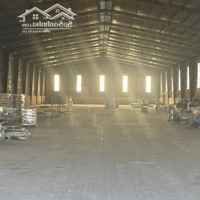 Cho Thuê Kho Xưởng 2500M2 Ql 51, Mỹ Xuân, Bà Rịa Vũng Tàu Gần Kcn Gò Dầu, Nhà Máy Bột Ngọt Vedan