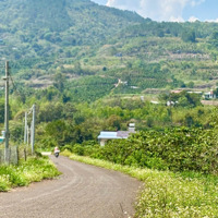 Bán Đất 117M2, 749 Triệu Ở Đường 27, Liên Hiệp, Đức Trọng, Lâm Đồng