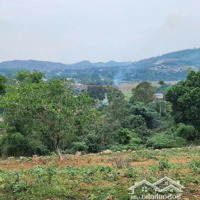 Bán Đất 2279M² Có 150M² Đất Ở, Mặt Đường Xã Đông Xuân, Quốc Oai, Sổ Đỏ Riêng, Giá Tốt