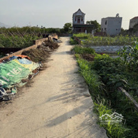 Bán Đất Thôn Bắc Thượng, Quang Tiến, Sóc Sơn, Hn. Gần Đườngdiện Tích131 Và Sân Bay Nội Bài