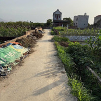 Bán Đất Thôn Bắc Thượng, Quang Tiến, Sóc Sơn, Hn. Gần Đườngdiện Tích131 Và Sân Bay Nội Bài