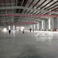 Cho Thuê Kho Xưởng Khu Công Nghiệp Tân Mỹ Chánh, Tp Mỹ Tho