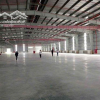 Cho Thuê Kho Xưởng Khu Công Nghiệp Tân Mỹ Chánh, Tp Mỹ Tho