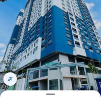 The Felix Là Dự Án Thứ 3 Tại Bình Dương Do C.holdings Của Anh Cường Đô La Xây Dựng Cho Người Việt