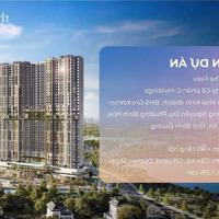 The Felix Là Dự Án Thứ 3 Tại Bình Dương Do C.holdings Của Anh Cường Đô La Xây Dựng Cho Người Việt