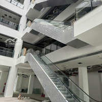 Siêu Hiếm - Cắt Lỗ - Căn Hộ 142M2 Dualkey Đông Nam View Siêu Đỉnh Tại The Wisteria
