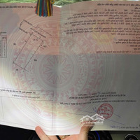 Đón Đầu Sóng Kđt Mới Cam Lâm Lô Full Thổ Đường Nhựa Cam Tân, Cam Lâm. Gần 4 Dự Án Sân Goft Của Vin