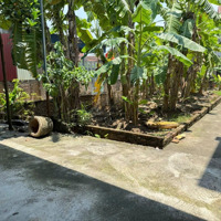 Bán Đất Tiến Thịnh, Mê Linh. Lô Góc, 3 Mặt Thoáng. Gần Bến Phà Chu Phan