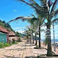 Bán Đất Mặt Biển Chính Chủ Huyện Quỳnh Lưu, Nghệ An. Diện Tích 6000M2Mặt Tiền100M Mặt Biển Quỳnh Nghĩa