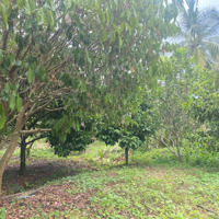 Bán Đất Vườn Xuân Lập Từ 3.000M² Đến 15.330M² View Hồ Sổ Đỏ Chính Chủ Có Thể Tách Lẻ