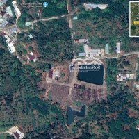 Bán Đất Vườn Xuân Lập Từ 3.000M² Đến 15.330M² View Hồ Sổ Đỏ Chính Chủ Có Thể Tách Lẻ