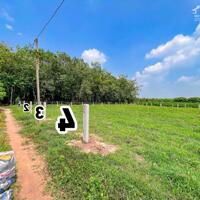 5x40 full thổ cư. Sổ hồng riêng. Đường xe hơi. 2xxtr