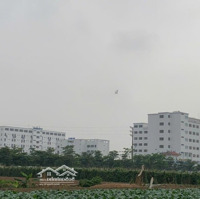 Chính Chủ Cần Bán Lô Đất Liền Kề Vị Trí Đẹp Tại Khu Đô Thị Cienco5 Mê Linh, Hà Nội