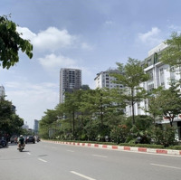 Siêu Khủng Mp Hoàng Quốc Việt-Cầu Giấy Mtien Lớn 6.2M 7Tầng T.máy Vỉa Hè 8M.diện Tích192M Chào 90 Tỷ Giẻ