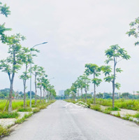 Cần Bán Gấp! Lk22-1.. Bắc Đầm Vạc - Giá Sốc 44 Triệu/M²