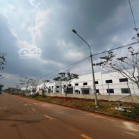 Bán 5000M2 Đất Khu Công Nghiệp Hố Nai 3
