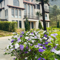 Suất Ngoại Giao Quỹ Ẩn Căn Bt Luxury Thanh Xuan Valley, Ck Thêm 500 Triệu Liên Hệ: 0987.975.976