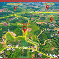350 Mét Full Thổ Cư - Ngang 10 Mét - Mặt Tiền Đường Nhựa - Trung Tâm Xã Sông Cầu - Khánh Vĩnh