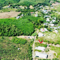 1000 M2 Có Sẵn 150 M2 Thổ Cư - Chỉ 650 Triệu - Ngay Khu Dân Cư Khánh Phú - Ô Tô Thông Hương Lộ 62
