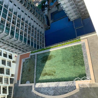 Cho Thuê Căn Hộ Gold Coast Đẹp View Xéo Biển Tòa Bắc Giá Bán 12 Triệu/Tháng