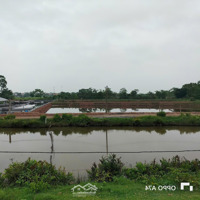 Cần Chuyển Nhượng Trang Trại Tôm 32000M2 Tại Nga Sơn, Thanh Hóa, Giá Tl, Liên Hệ: 09645643924