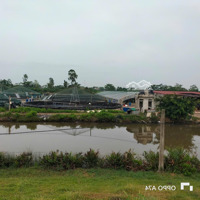 Cần Chuyển Nhượng Trang Trại Tôm 32000M2 Tại Nga Sơn, Thanh Hóa, Giá Tl, Liên Hệ: 09645643924