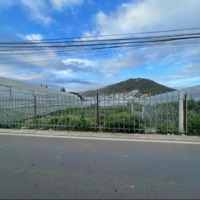 Đất Biệt Thự 650M2 Giá Cực Tốt Tại Tp Đà Lạt, Chỉ 9,9 Tỷ. Đường Nhựa Thông 2 Đầu