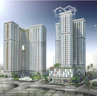 Cho Thuê Cc 1 Phòng Ngủ 1Vs Tại Nguyễn Kim, Quận 10, Giá Siêu Hời 8 Triệu, 55M2