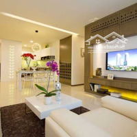 Cho Thuê Cc 1 Phòng Ngủ 1Vs Tại Nguyễn Kim, Quận 10, Giá Siêu Hời 8 Triệu, 55M2