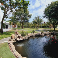 Bán Nhà Biệt Thự Đường Dương Tử Giang, 50 Tỷ, 2064M2, Giá Siêu Hời, Uy Tín