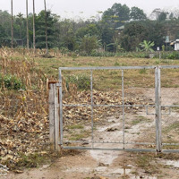 Bán Đất Chính Chủ Tại Thôn 9, Xã Ba Trại, Huyện Ba Vì, Hà Nội 2.393 M2 Có 150M Đất Ở X2X3 Giá 4 Triệu