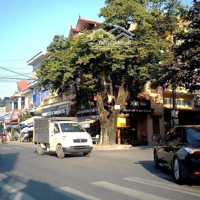 Bán Gấp 108M2, Mt5M Mặt Đường Trục Tỉnh Thụy Phong, Thái Thụy, Tb. Giá Bán 3,4 Tỷ Kd Sầm Uất
