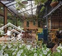 Cho Thuê Mb Riêng Biêt Lô Góc Hoà Cường Bắc Ngang #10M! Quận Hải Châu
Giá 25 Triệu/ Tháng
Dt