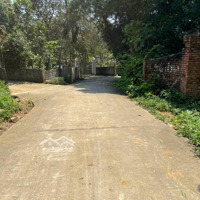 Nhỉnh 2 Tỷ Có 503M/150M Thổ Cư Tại Vân Hoà, Ba Vì