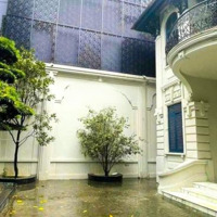 Bán Lỗ 20 Tỷ! Biệt Thự Siêu Khan Hiếm Góc 2Mặt Tiềnhẻm Xe Hơi 6M Nam Kỳ Khởi Nghĩa, Quận 3