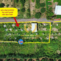 Bán Vườn Trái Cây 1000M2 Gần Chợ Sông Thao, Lúc Sốt 1Ty7, Giờ Ngộp Quá Chủ Bán 690 Triệu